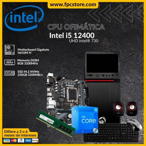 CPU ofimática Intel i5 12400 8GB 250GB