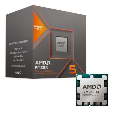 Procesador AMD Ryzen 5 8600G